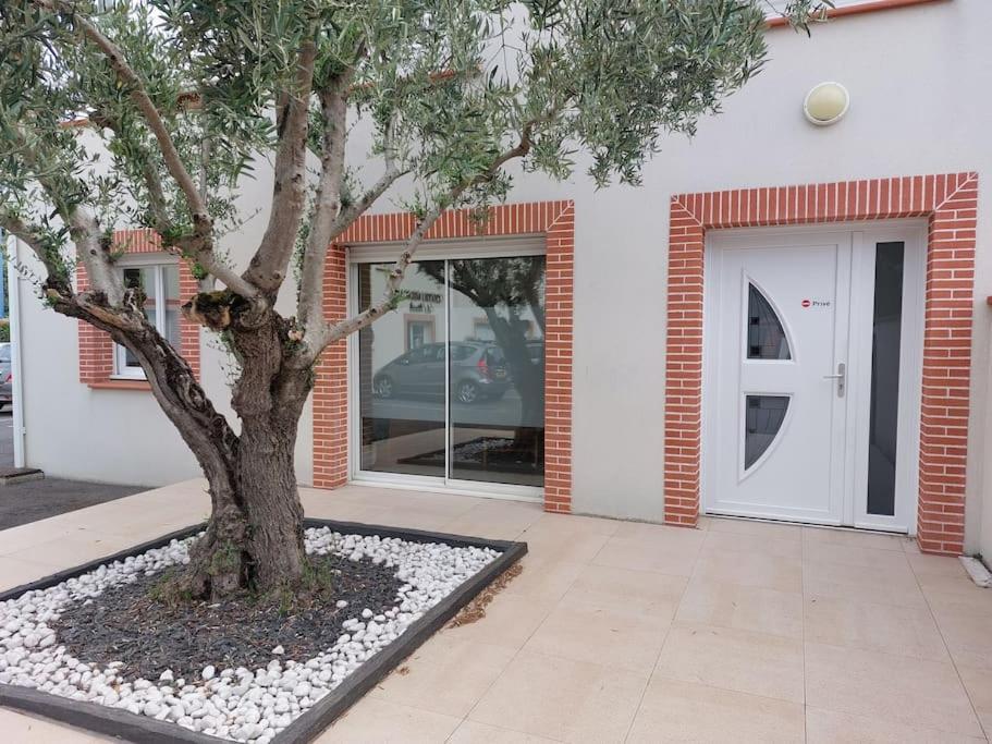 T3 Climatise, Parking Et Jardin Quartier Des Marots A Colomiers Διαμέρισμα Εξωτερικό φωτογραφία