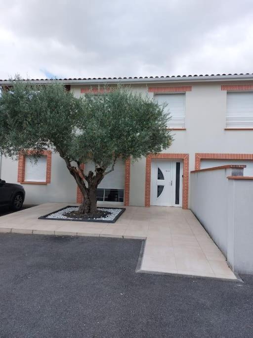 T3 Climatise, Parking Et Jardin Quartier Des Marots A Colomiers Διαμέρισμα Εξωτερικό φωτογραφία